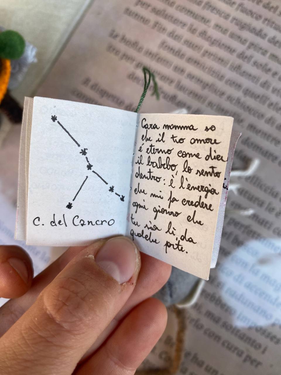 Pleia - immagine 10