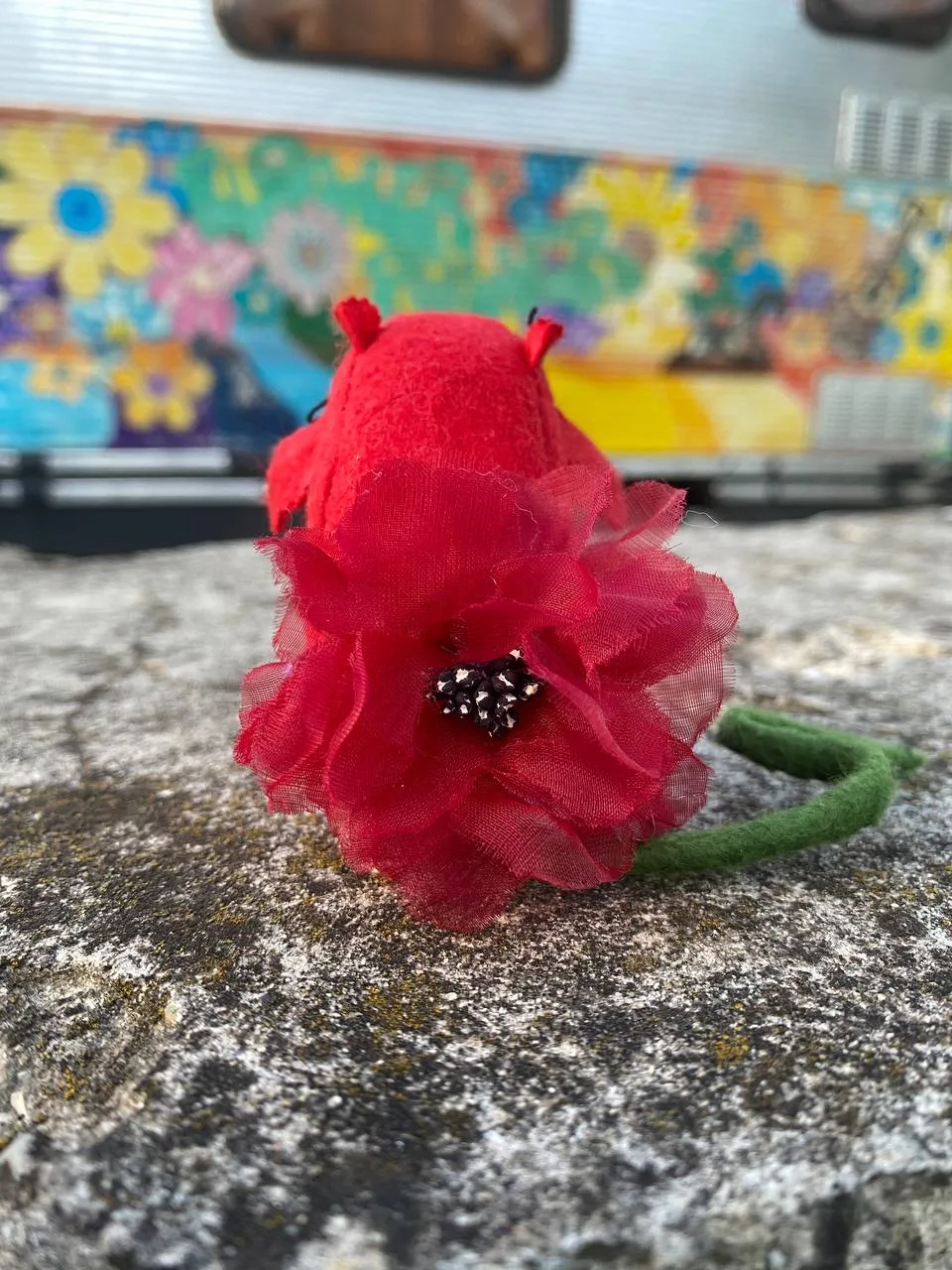 Poppy - immagine 3